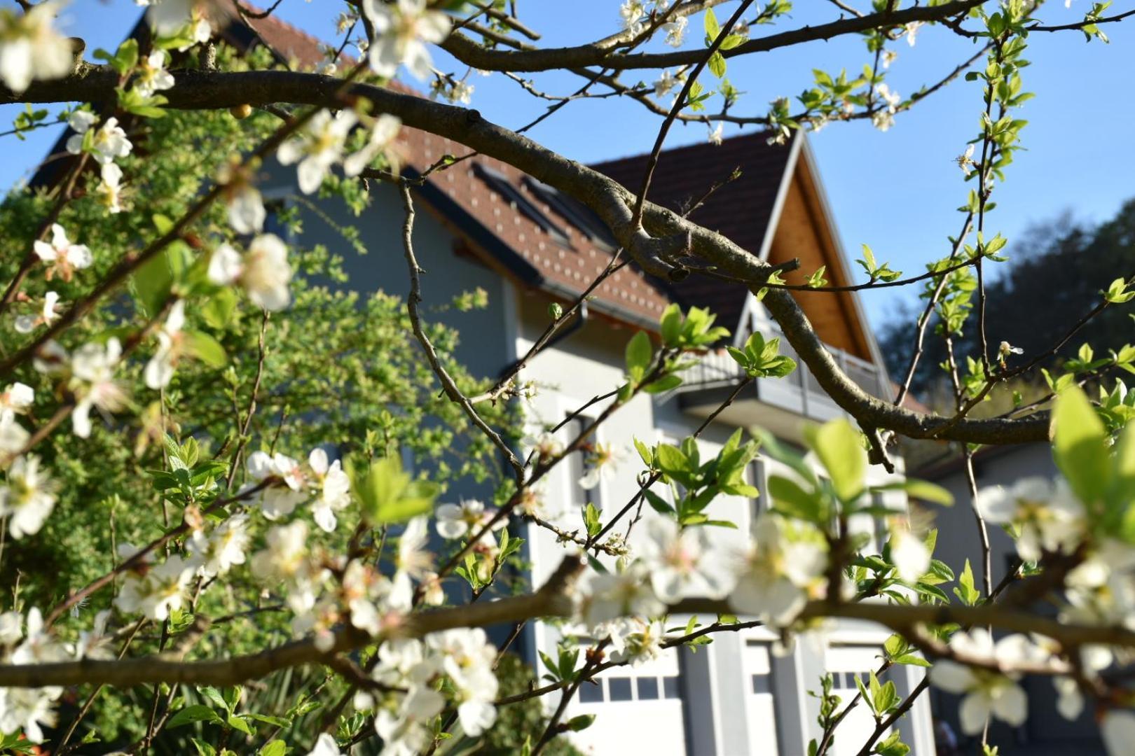 Ferienhaus Am Hof Zotter Riegersburg Buitenkant foto